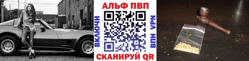 A-PVP СК Новочеркасск