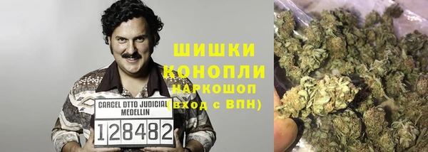 тгк Мегион