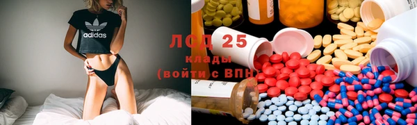 стафф Медвежьегорск