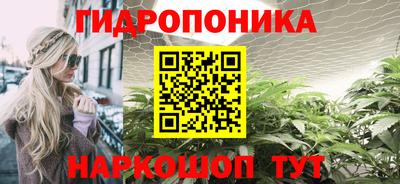 тгк Гусев