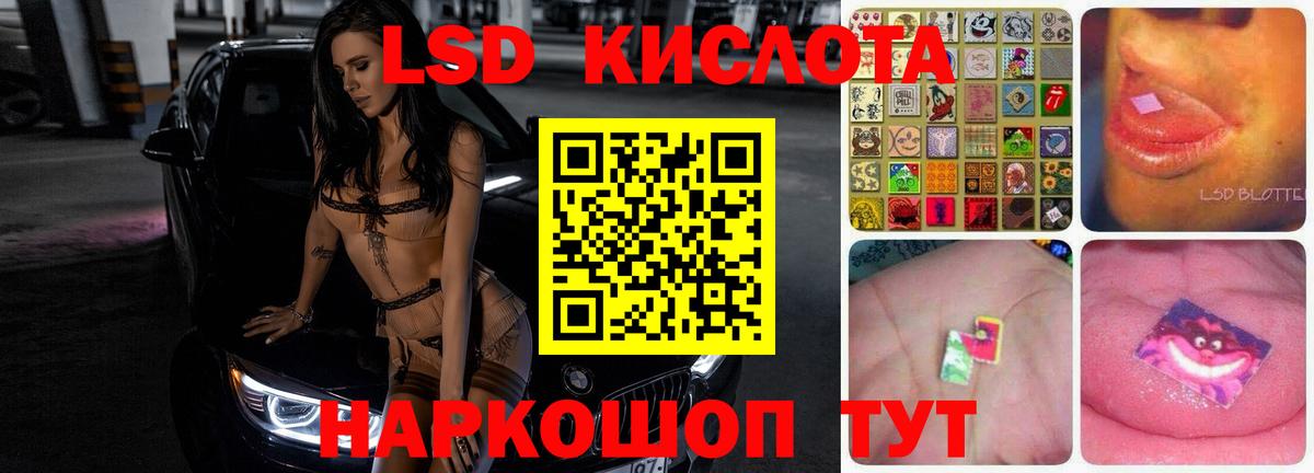 blacksprut как зайти  ЛСД экстази  Новочеркасск  ЛСД экстази ecstasy  Вход с VPN  ЛСД экстази ecstasy 