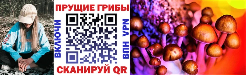 Псилоцибиновые грибы Cubensis  кракен ТОР  Новочеркасск 