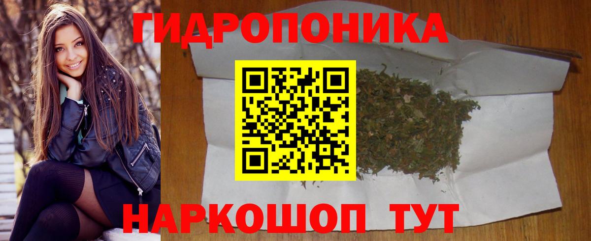 APVP Новочеркасск